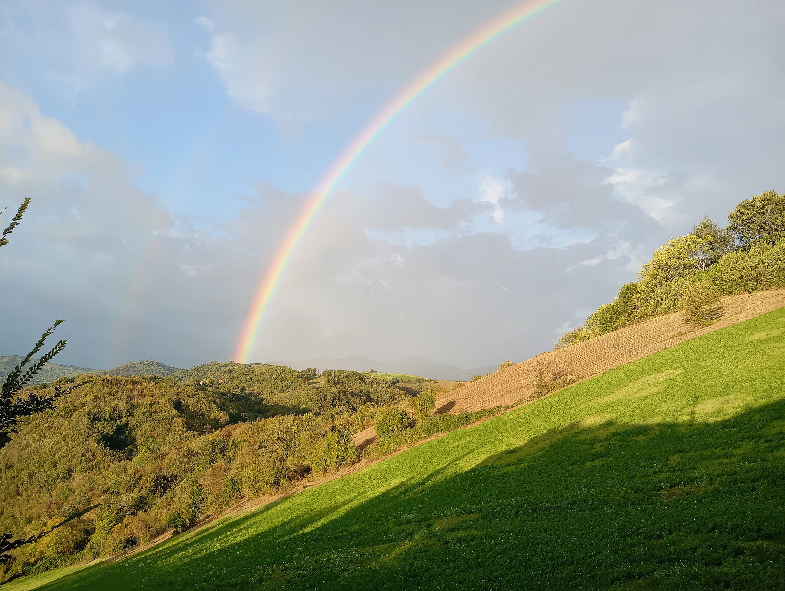 IMG_20241010_081241 Arcobaleno - Scala